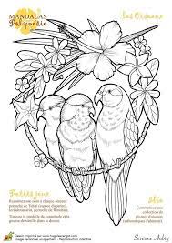 Download this running horse printable to entertain your child. Coloring Pages Of Birds And Butterflies Bird Coloring Pages Bird Embroidery Pattern Butterfly Coloring Page