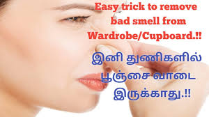 Bleach can remove the mold, but can damage the cabinet material, so test a hidden area before bringing out this serious mold eradicator. Hacks To Remove Musty Smell From Wardrobe Cupboard Easy Trick To Get Rid Of Pungent Smell Youtube