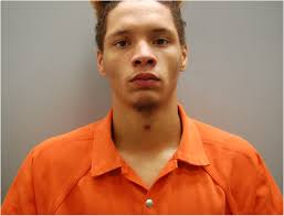 PRESS RELEASE Over the past several months, there have been numerous  break-ins and larcenies in the Country Estates and Holiday Estates  subdivisions between Rocky Mount and Battleboro. Last week, with the help