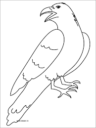 You can use our amazing online tool to color and edit the following elijah coloring pages. Printable Raven Coloring Page Coloringbay