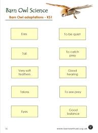 Free printable ks2 science worksheets. Barn Owl Conservation Science Educational Resources The Barn Owl Trust
