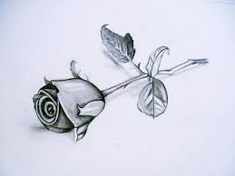 1001 Modeles Et Conseils Pour Apprendre Comment Dessiner Une Rose Dessin Rose Comment Dessiner Une Rose Fleur Noir Et Blanc