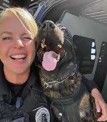 Bow down, peasants—His Royal Chonkness has entered the room.” 👑🐶  #RoyalBulldog #BulldogLife #DogMemes #Chonk #PuppyLove #PetRoyalty  #DogsofInstagram #Bleps #WrinkleWednesday #CutenessOverload #PupVerse  #fblifestyle