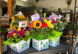 Because of safety restrictions in some patient care areas, we cannot deliver all items, and do not sell fresh plants or flowers. Flowers Just 4 U Has Served Seattle With Love For 36 Years Seattle Refined