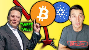 You can easily buy bitcoin with the help of a credit or debit card, with fiat currencies. Urgent Crypto Crash Update Elon Musk And Tesla Threaten To Crash Bitcoin Again Buy Zones Youtube