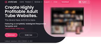 Top 8 Adult Tube Scripts to Build a Profitable Site in 2025