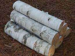 Check spelling or type a new query. White Birch Logs 3 Count 16 Inches X Approximately 4 Inches Diameter Ebay