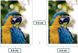 Arti dari ukuran tersebut, panjang foto adalah 9 cm dan lebarnya 6 cm. Ukuran Foto 2r Dalam Mm Cm Dan Inci Lengkap Gambar
