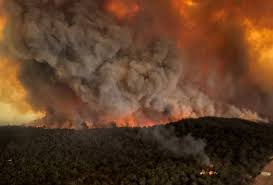 Pembakaran terbuka disediakan oleh : Kebakaran Hutan Australia Taman Negara Blue Mountains Kini Suram Astro Awani