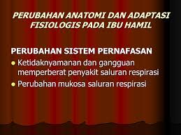 Sistem pernapasan/respirasi sistem pernapasan pada manusia adalah sistem organ yang digunakan untuk menghirup oksigen dari udar. Anatomi Dan Fisiologi Sistem Respirasi Ppt Download