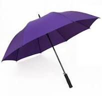 EVA Handle Purple Windproof Automatic Stick Straight Rain Mini Golf Um