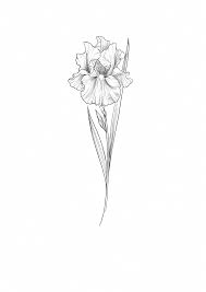 Di solito chi sceglie di farsi tatuare un fiore lo fa proprio per via del colore. Iris Tattoo Sketch By Cathy Artwork Idee Per Tatuaggi Tatuaggi Con Ispirazione Tatuaggi Zodiacali