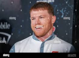 Hearn hi-res stock photography and images