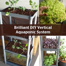 The water from the fish tank gets lifted with a solids lifting the deepwater culture or dwc is used in most commercial aquaponics systems. 13 Diy Aquaponics Systems To Suit Any Budget