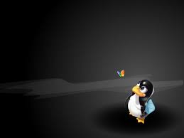 Image result for linux penguin wallpaper