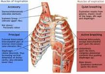 Image result