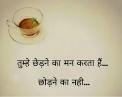 Common homonyms or pair of… continue reading. Pin By Sarika On Various Blend Hindi Quotes On Life Hindi Quotes Life Quotes