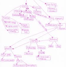 Big Idea 14 Organization And Development Of Living Organisms Concept Map Concept Map Linn Education