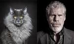 Ron Perlman - Wikipedia