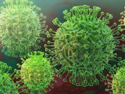 The report that is issued each monday contains combined data that was collected on. Points For Discussions About Covid 19 Coronavirus Can Get Children Worried Here S How To Have The Talk The Economic Times