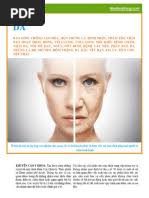 15.Thực Vật Ăn Được