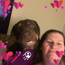 Gsd ear issues and shaking head