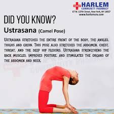 Repeat this for some more rounds. Ustrasanabenefits Hashtag On Twitter