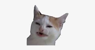 Cat Thonk Cat No Like Banana Png Image Transparent Png Free Download On Seekpng