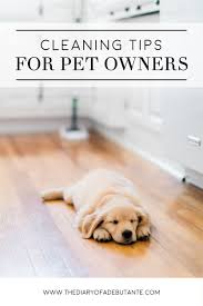 Only Have 15 Minutes To Speed Clean Your Dog Loving Home This Post Shares 5 Of Our Best Lazy Girl Tips An Clean Hardwood Floors Pet Cleaning Dog Hair Cleaning