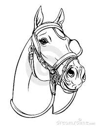 Paul keleher/wikimedia commons/cc by 2.0 is your horse tossing its head while you ride? Resultado De Imagen Para Horse Head Outline Horse Silhouette Horse Coloring Pages Horse Drawings