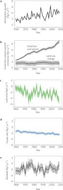 sources and sinks of carbon dioxide