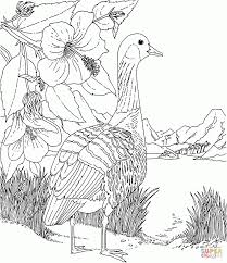 Standard of the governor before statehood. Hawaiian Flag Coloring Pages Hawaii State Flag Coloring Page Kids Coloring Home