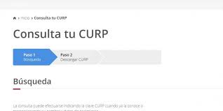 Este documento sirve como método de identificación para personas. Curp No Lo Borraron Esto Dice Segob Al Respecto