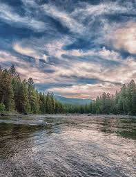 2 0 1 3 A N N U A L R E P O R T B L A C K F O O T C H A L L E N G E