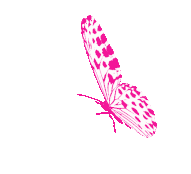Butterfly icon, watercolor butterfly, blue and purple butterflies illustration, watercolor painting, blue png. Transparent Butterfly Gif Gifs Tenor