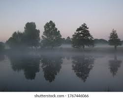 Atmospheric Early Dawn Lake Trees Reflected Stock Photo 1767446066