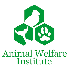 Media Information On The Animal Welfare Institute Animal Law Animal Protection Organization Animal Welfare Act