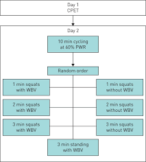 cardiopulmonary response during whole body vibration