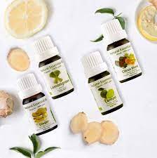 Tinh Dầu Tea Tree Từ Cay Tra Uc Co Trị Mụn Cham Ngứa Khong Cay Trị Mụn Tinh Dầu