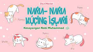 Maybe you would like to learn more about one of these? Kucing Kesayangan Nabi Muhammad ï·º Ini Daftar Nama Nama Kucing Islami Youtube