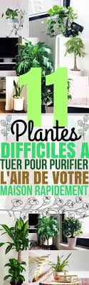 Epingle Par Burns Sur House Plante Interieur Plante Jardin Interieur