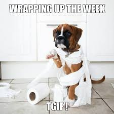 We did not find results for: Happy Friday Dance Quotes Funny Animals Quotesgram