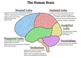 Pin On Psychology