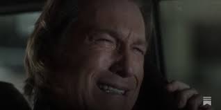 Theres Too Damn Much TV - by Evan Ross Katz