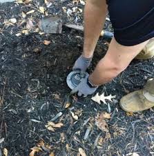 Some even use falcons to frighten smaller birds away from your. How Much Does Termite Control Cost Liquid Treatment Or Bait Stations Termite Treatment Costs