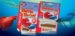 How To Care For Your Betta Tips For Feeding Your Fighting Fish Betta Betta Fish Betta Fish Care