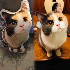 Shutterfly offers pet pillows that are soft and comfy for your cat and dog and also customizable to match your style and interior decor. Personalised Pillows Shape Pillow Printing Near Me