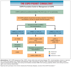 Image result for COPD Assessment Test
