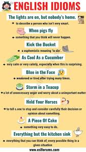 Educational Infographic Top 20 Funny Idioms In English You Might Not Know Esl Forums Onlinesc English Idioms Learn English Vocabulary English Collocations