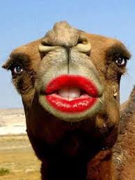 What's a camel's favorite holiday carol? Pin On Guess What Day It Is